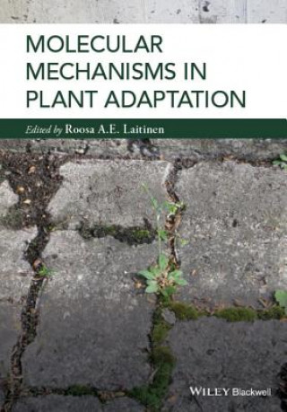 Книга Molecular Mechanisms in Plant Adaptation Roosa Laitinen
