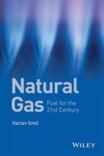 Könyv Natural Gas - Fuel for the 21st Century Vaclav Smil