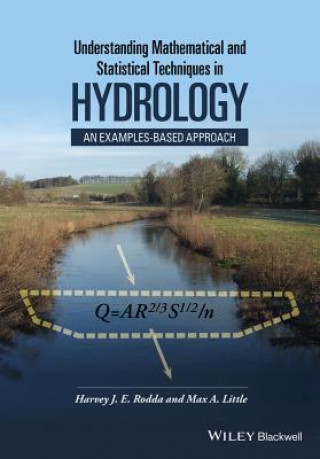 Könyv Understanding Mathematical and Statistical Techniques in Hydrology - An Examples-based Approach Harvey Rodda
