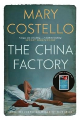 Kniha China Factory Mary Costello
