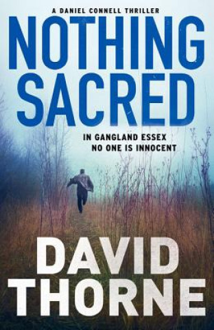 Könyv Nothing Sacred David Thorne