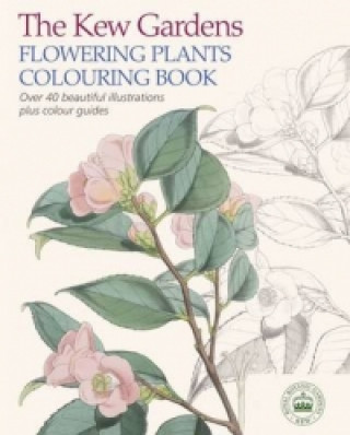 Kniha Kew Gardens Flowering Plants Colouring Book Arcturus Publishing