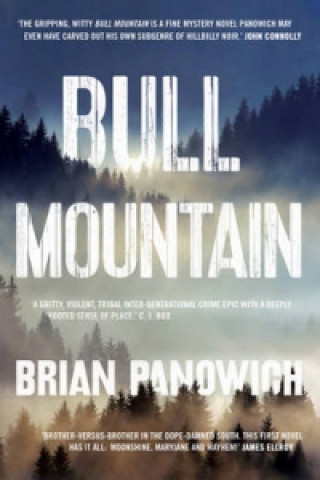 Book Bull Mountain Brian Panowich
