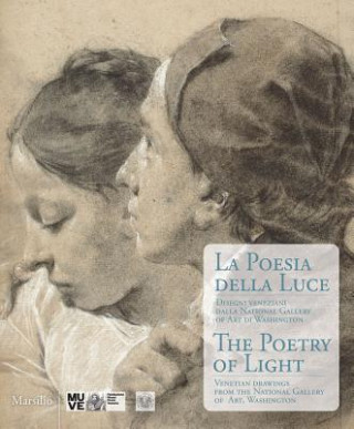 Carte Poetry of Light Andrew Robinson