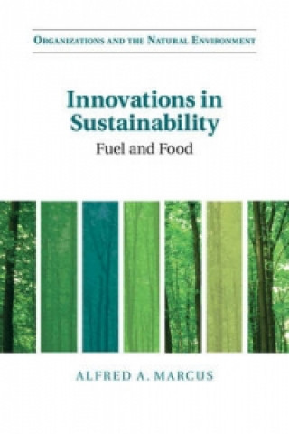 Книга Innovations in Sustainability Alfred A. Marcus
