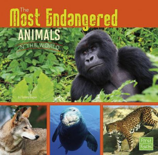 Carte All About Animals: Most Endangered Tammy Gagne