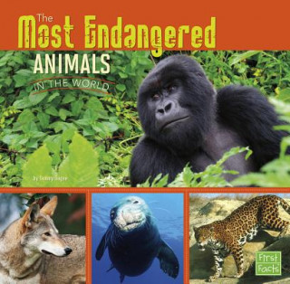 Buch All About Animals: Most Endangered Tammy Gagne