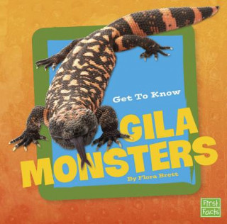 Kniha Get to Know Gila Monsters (Get to Know Reptiles) Flora Brett