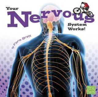 Kniha Your Body Systems: Nervous Flora Brett