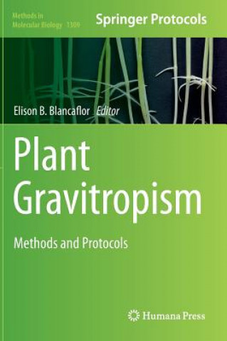 Kniha Plant Gravitropism Elison B. Blancaflor