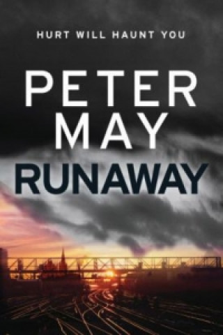 Kniha Runaway Peter May