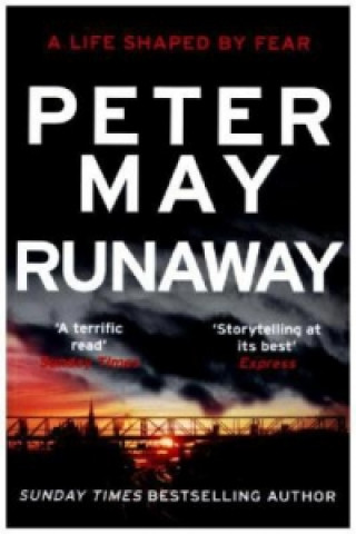 Книга Runaway Peter May