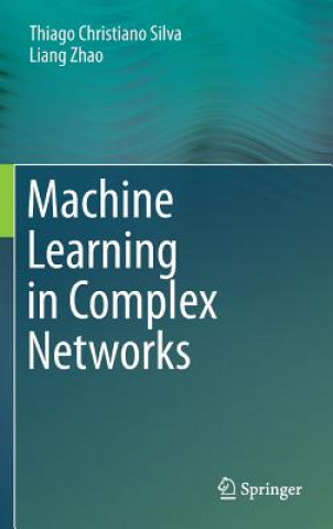 Könyv Machine Learning in Complex Networks Thiago Christiano Silva