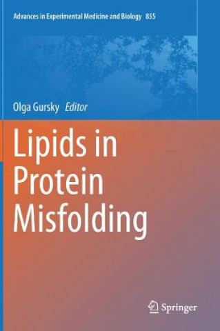 Kniha Lipids in Protein Misfolding Olga Gursky