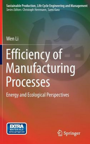 Knjiga Efficiency of Manufacturing Processes Wen Li