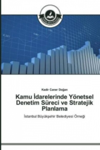 Kniha Kamu &#304;darelerinde Yoenetsel Denetim Sureci ve Stratejik Planlama Kadir Caner Dogan