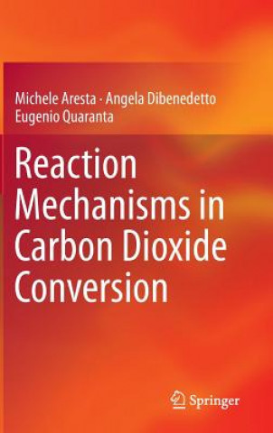 Könyv Reaction Mechanisms in Carbon Dioxide Conversion Michele Aresta