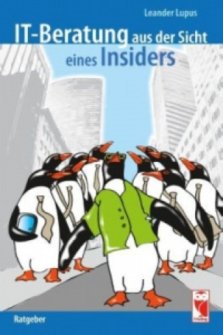 Book IT-Beratung aus der Sicht eines Insiders Leander Lupus