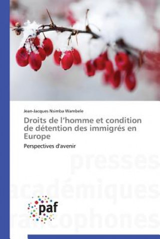 Kniha Droits de L Homme Et Condition de Detention Des Immigres En Europe Wambele-J