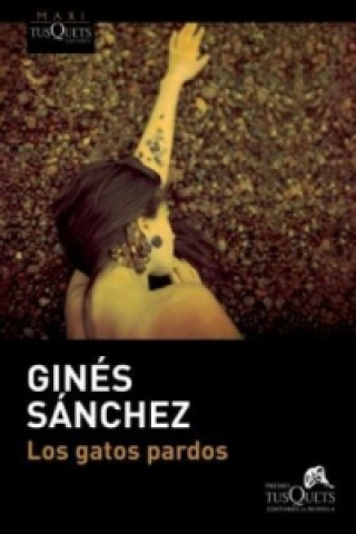 Książka Los Gatos Pardos Ginés Sánchez