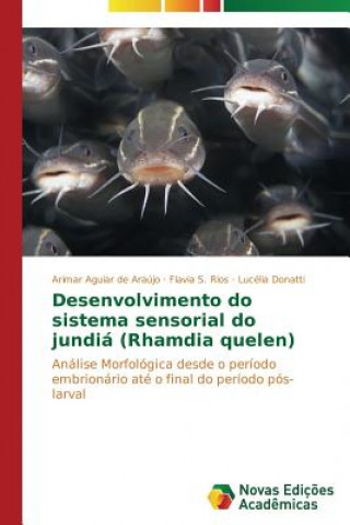 Könyv Desenvolvimento do sistema sensorial do jundia (Rhamdia quelen) Aguiar De Araujo Arimar