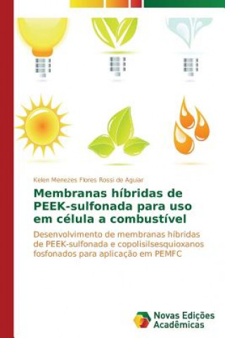 Kniha Membranas hibridas de PEEK-sulfonada para uso em celula a combustivel Menezes Flores Rossi De Aguiar Kelen