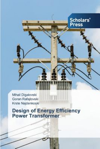 Książka Design of Energy Efficiency Power Transformer Digalovski Mihail