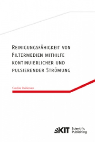 Carte Reinigungsfähigkeit von Filtermedien mithilfe kontinuierlicher und pulsierender Strömung Caroline Weidemann