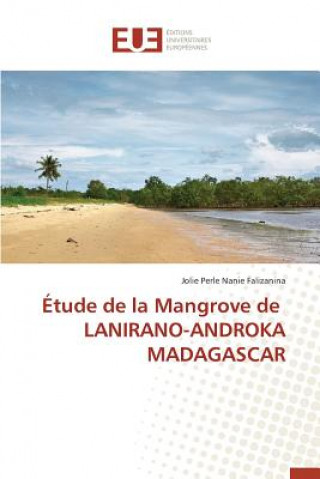 Carte tude de la Mangrove de Lanirano-Androka Madagascar Falizanina-J