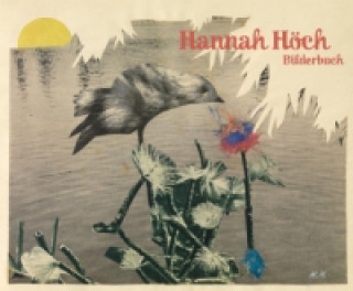 Buch Bilderbuch Hannah Höch