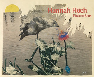 Kniha Picture Book Hannah Höch