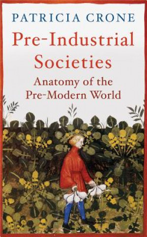 Könyv Pre-Industrial Societies Patricia Crone