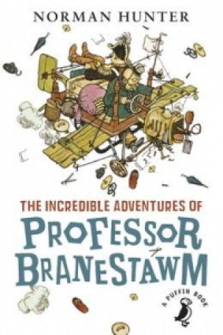 Knjiga Incredible Adventures of Professor Branestawm Norman Hunter