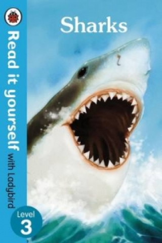 Könyv Sharks - Read it yourself with Ladybird: Level 3 (non-fiction) Ladybird