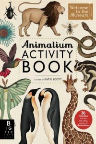 Knjiga Animalium Activity Book Katie Scott
