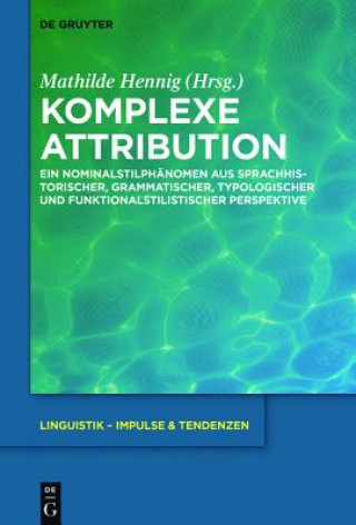 Libro Komplexe Attribution Mathilde Hennig