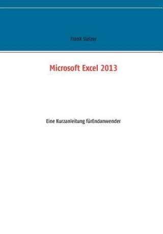 Libro Microsoft Excel 2013 Frank Stelzer