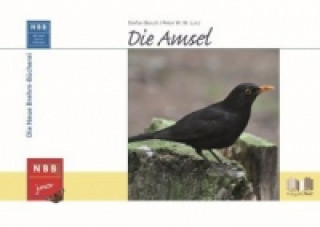 Könyv Die Amsel Stefan Bosch