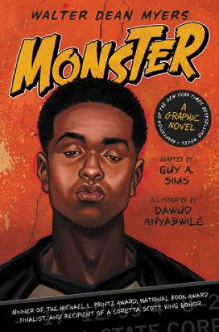 Knjiga Monster: A Graphic Novel Guy A Sims