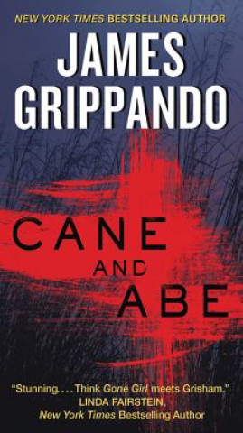 Kniha Cane and Abe James Grippando