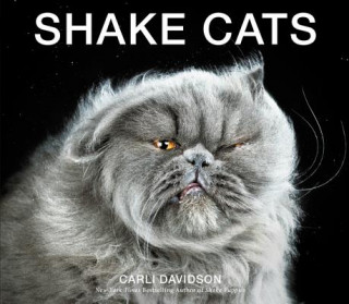 Kniha Shake Cats Carli Davidson