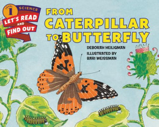 Kniha From Caterpillar to Butterfly Deborah Heiligman