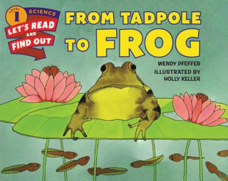 Carte From Tadpole to Frog Wendy Pfeffer