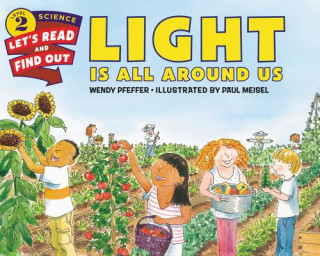 Carte Light Is All Around Us Wendy Pfeffer