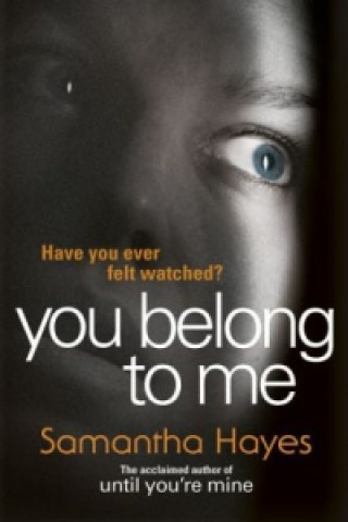 Book You Belong To Me Samantha Hayes