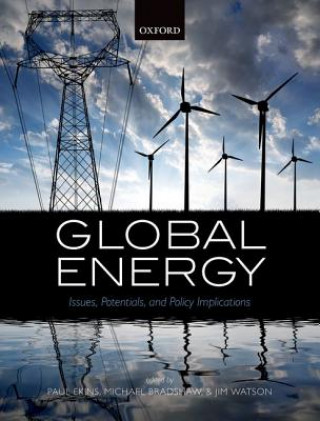 Kniha Global Energy Paul Ekins