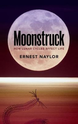 Carte Moonstruck Ernest Naylor