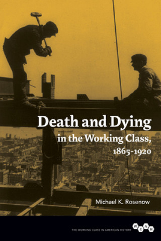 Kniha Death and Dying in the Working Class, 1865-1920 Michael K Rosenow