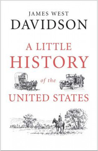 Könyv Little History of the United States James West Davidson