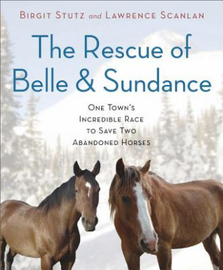 Kniha Rescue of Belle and Sundance Birgit Stutz